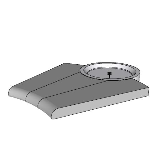 Analog Scale