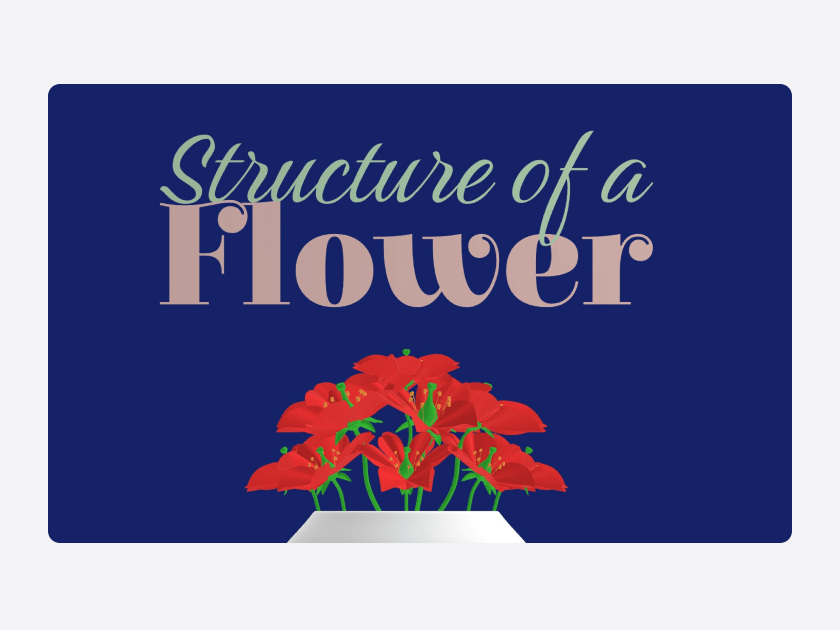 Structure of a Flower