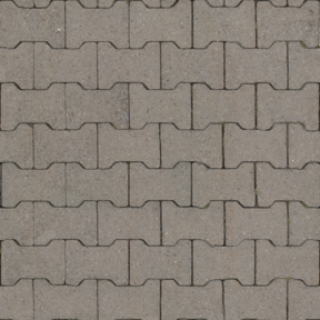 Paving Stone 05