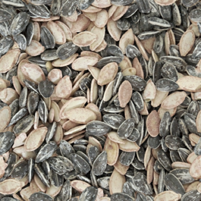 Mixed Seeds