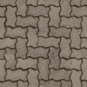 Paving Stone 04