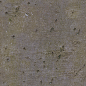 Bark 01