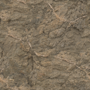 Brown Rock 01